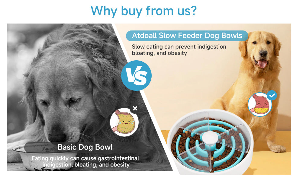 Bowl labirinto para cão comer devagar