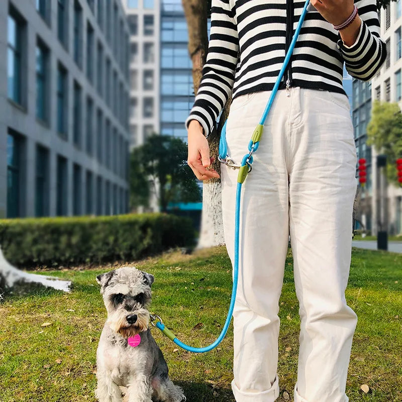 Guia Mãos Livres para Cães