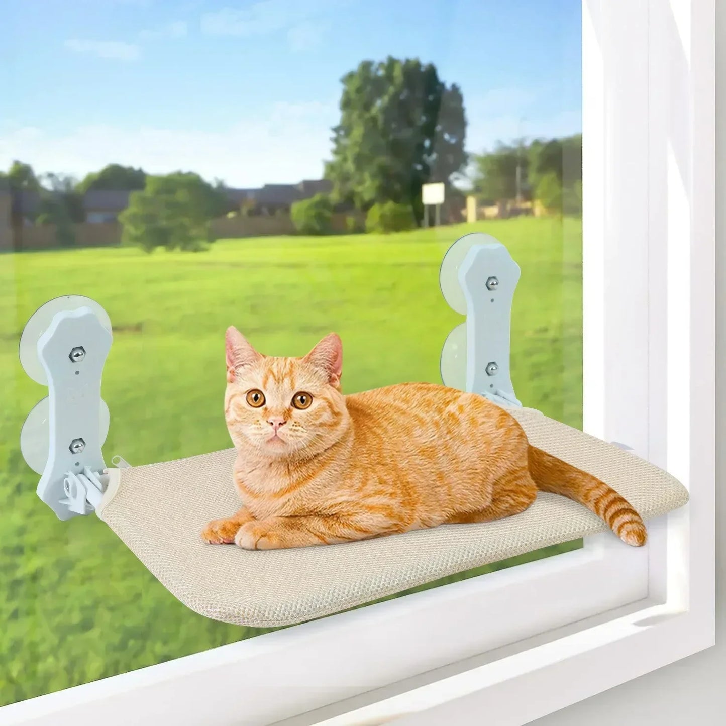 Cama de Janela Suspensa para gatos