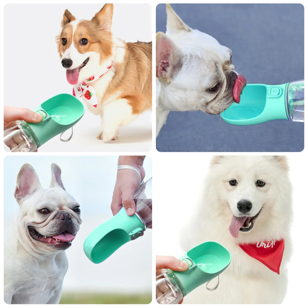 Garrafa Portátil para Pets