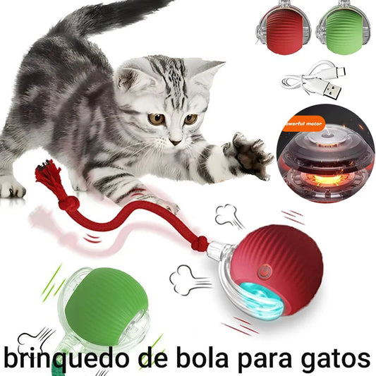 Bola interativa para cães e gatos
