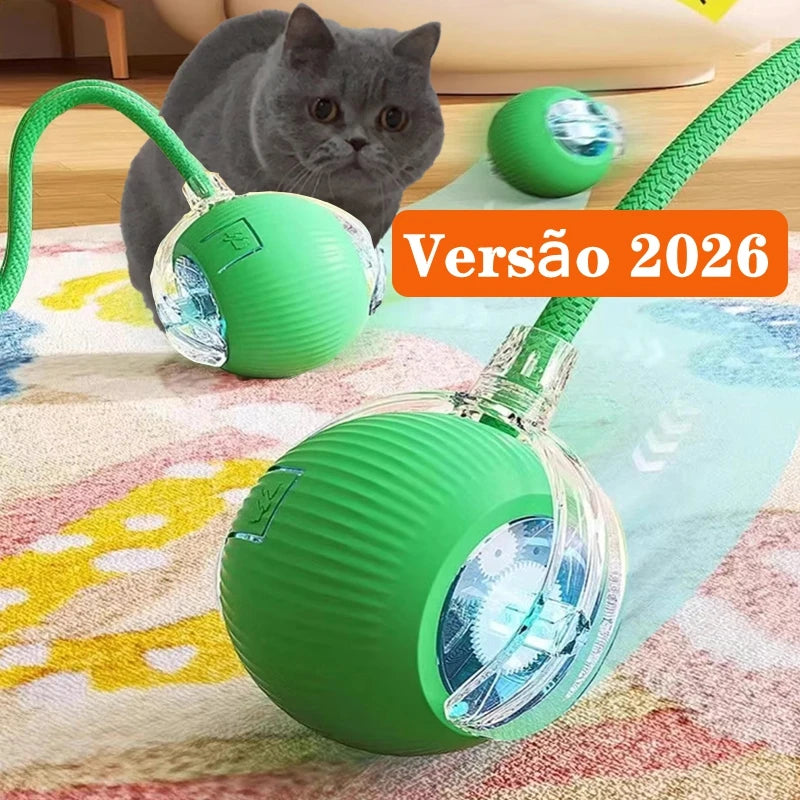 Bola interativa para cães e gatos