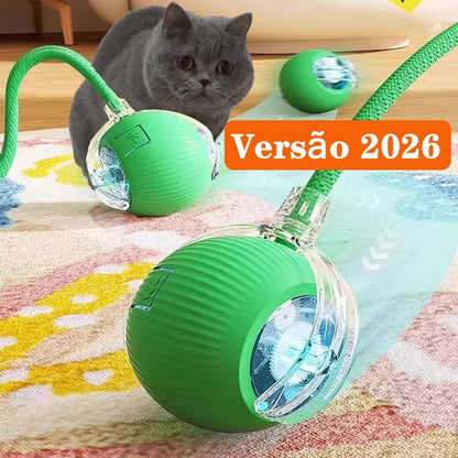 Bola interativa para cães e gatos