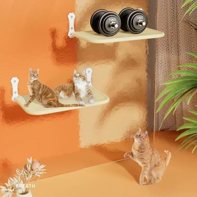 Cama de Janela Suspensa para gatos