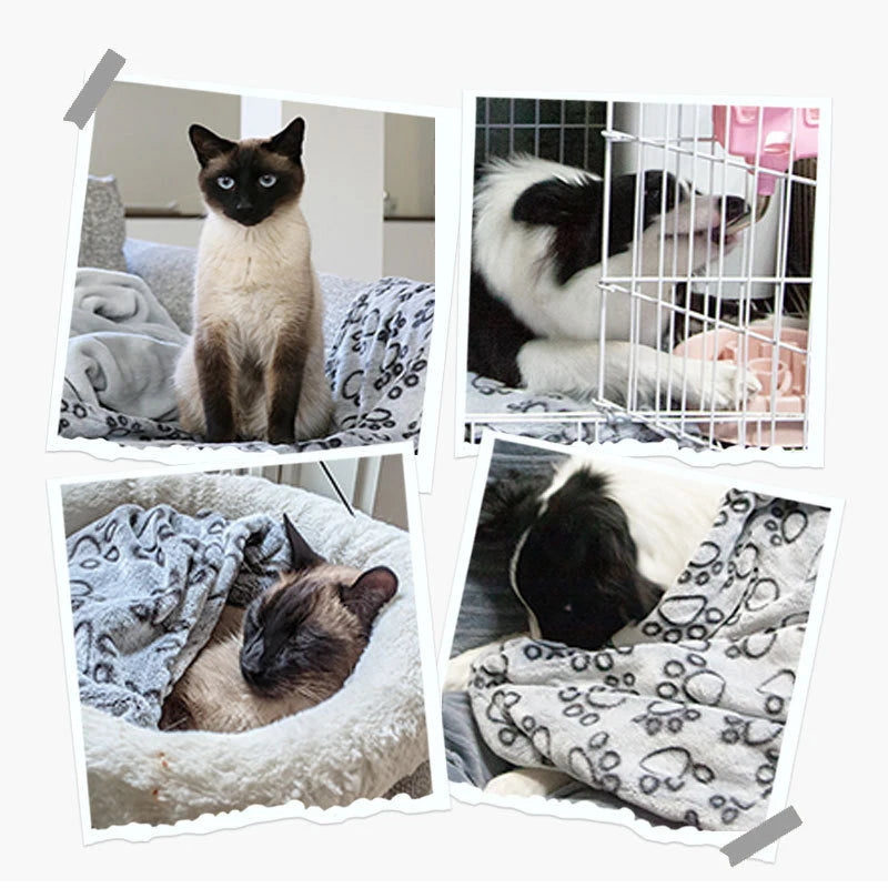 Cobertor Fofo para Pets com Estampa – Macio, Quentinho e Confortável para Cães e