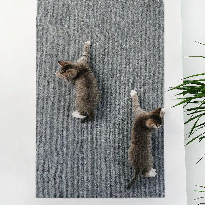 Tapete Arranhador Adesivo para Gatos – Proteção de Sofá e Paredes