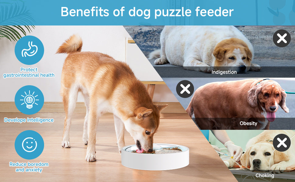 Comedouro puzzle cão raças variadas