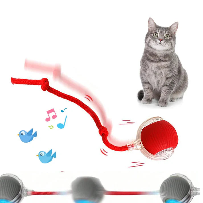 Bola interativa para cães e gatos