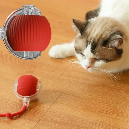 Bola interativa para cães e gatos
