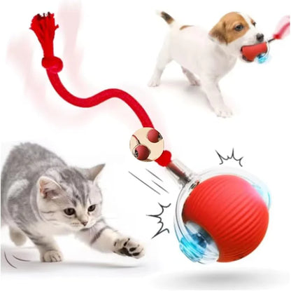 Bola interativa para cães e gatos