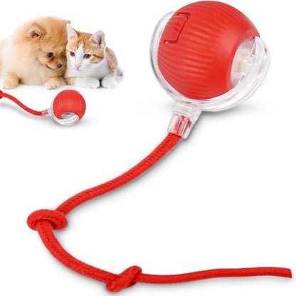 Bola interativa para cães e gatos