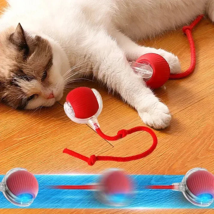 Bola interativa para cães e gatos